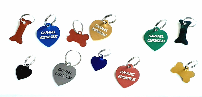 Chienmedaille_couleurs